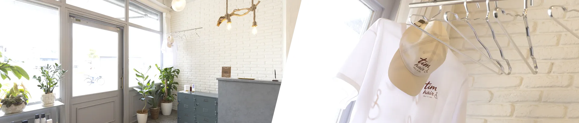 tim halrイメージ